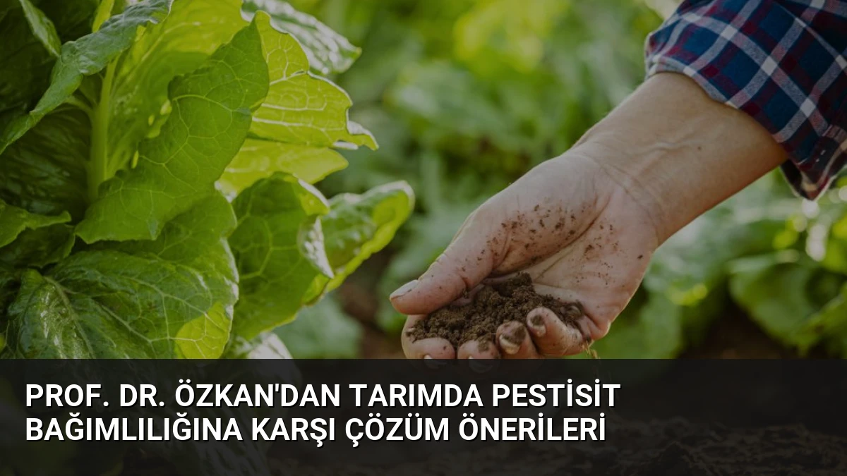 Prof. Dr. Özkan’dan Tarımda Pestisit Bağımlılığına Karşı Çözüm Önerileri