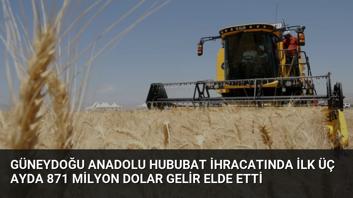 Güneydoğu Anadolu Hububat İhracatında İlk Üç Ayda 871 Milyon Dolar Gelir Elde Etti