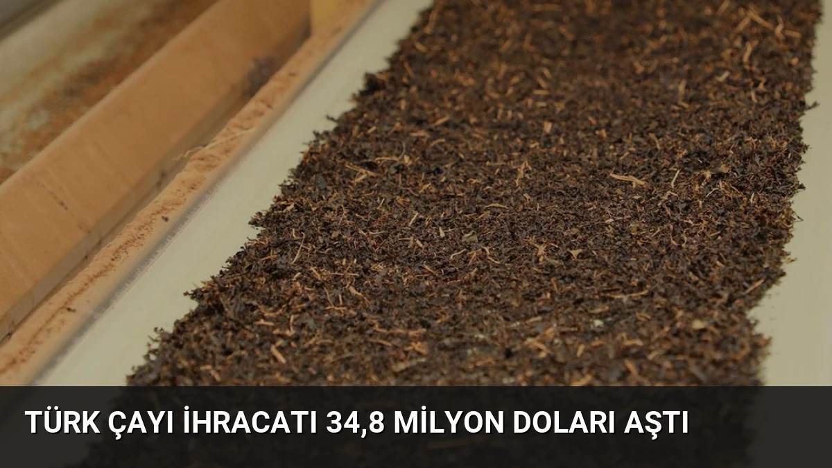 Türk çayı ihracatı 34,8 milyon doları aştı