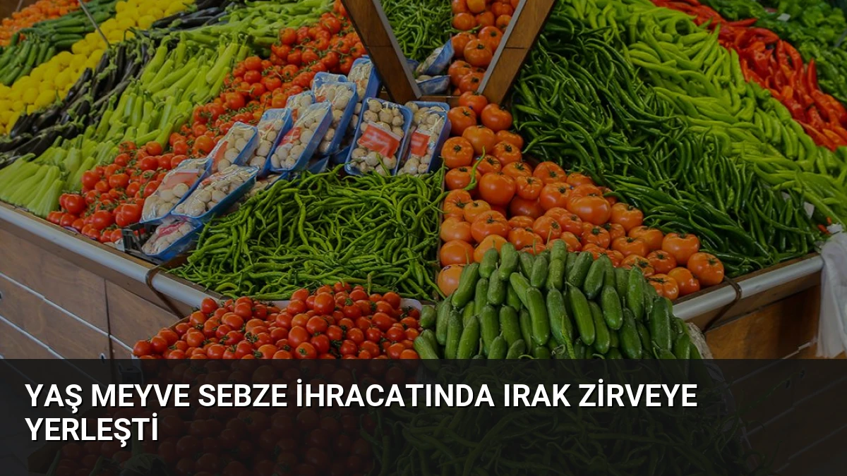 Yaş Meyve Sebze İhracatında Irak Zirveye Yerleşti