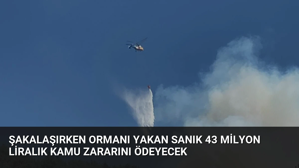 Şakalaşırken ormanı yakan sanık 43 milyon liralık kamu zararını ödeyecek