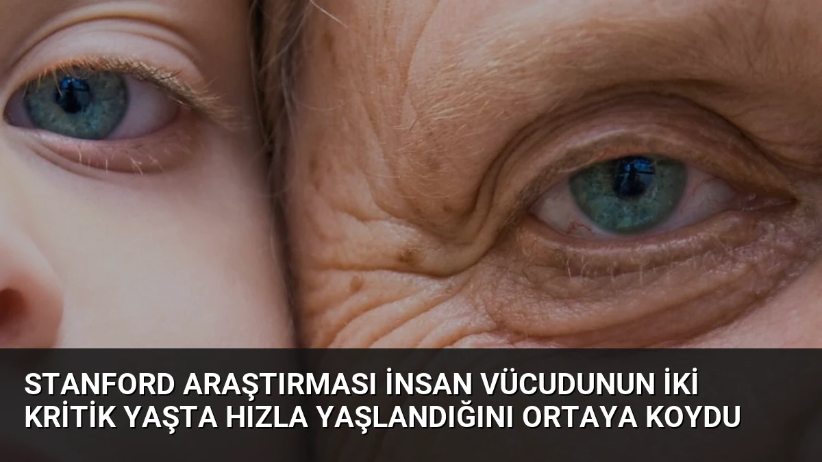 Stanford Araştırması İnsan Vücudunun İki Kritik Yaşta Hızla Yaşlandığını Ortaya Koydu