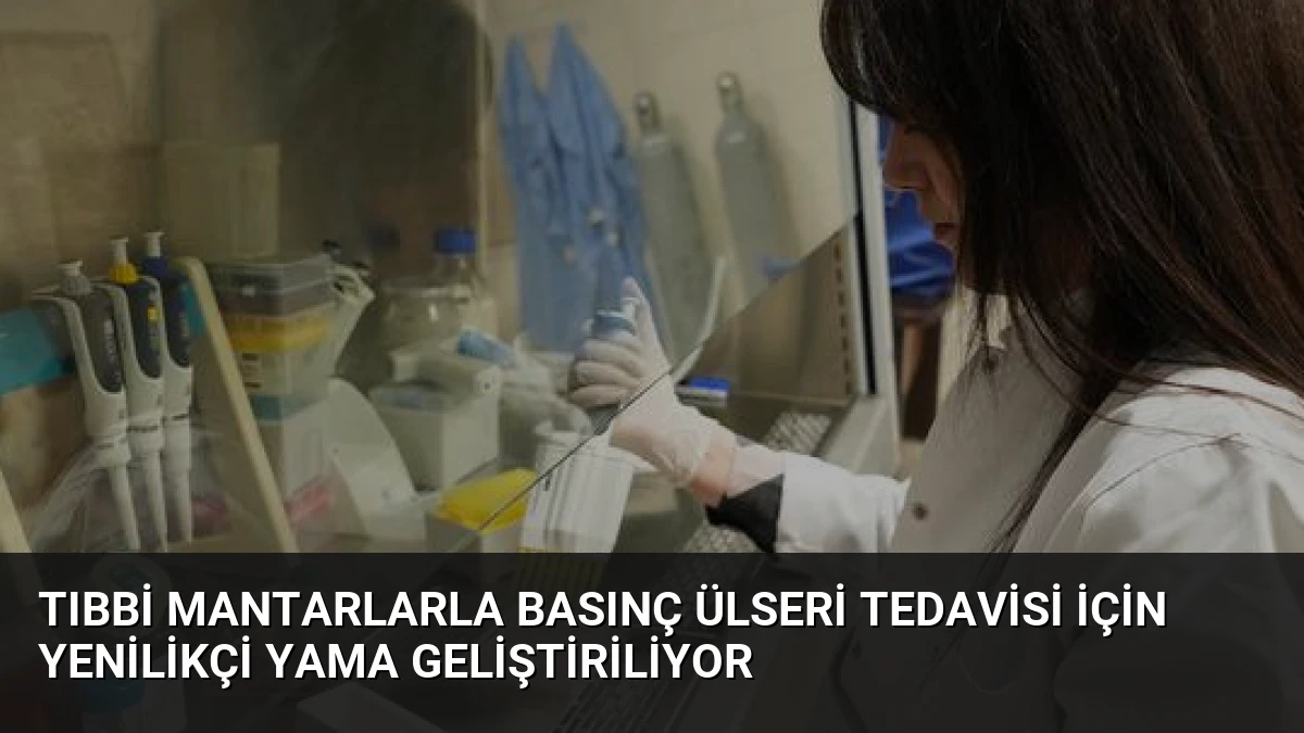 Tıbbi Mantarlarla Basınç Ülseri Tedavisi İçin Yenilikçi Yama Geliştiriliyor