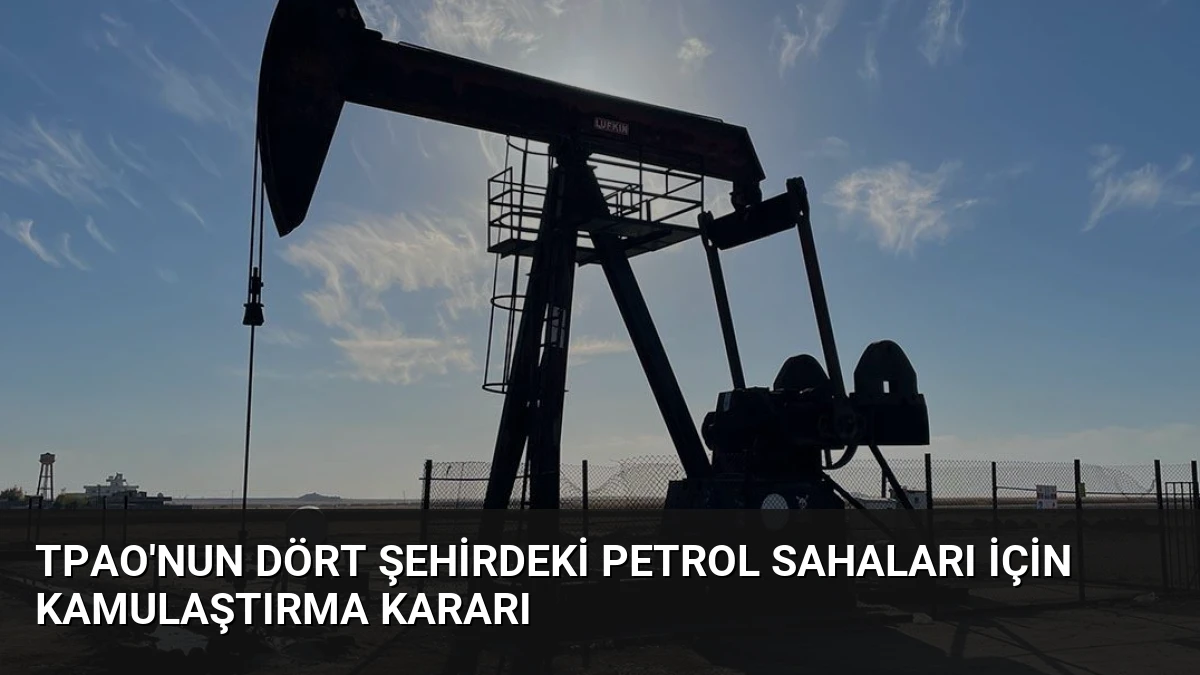 TPAO’nun Dört Şehirdeki Petrol Sahaları İçin Kamulaştırma Kararı