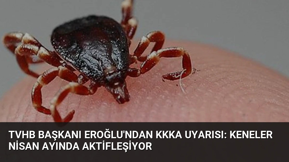 TVHB Başkanı Eroğlu’ndan KKKA Uyarısı: Keneler Nisan Ayında Aktifleşiyor