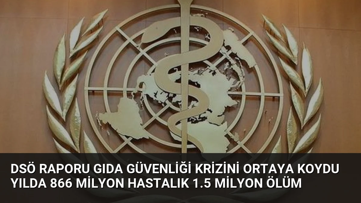 DSÖ Raporu Gıda Güvenliği Krizini Ortaya Koydu Yılda 866 Milyon Hastalık 1.5 Milyon Ölüm