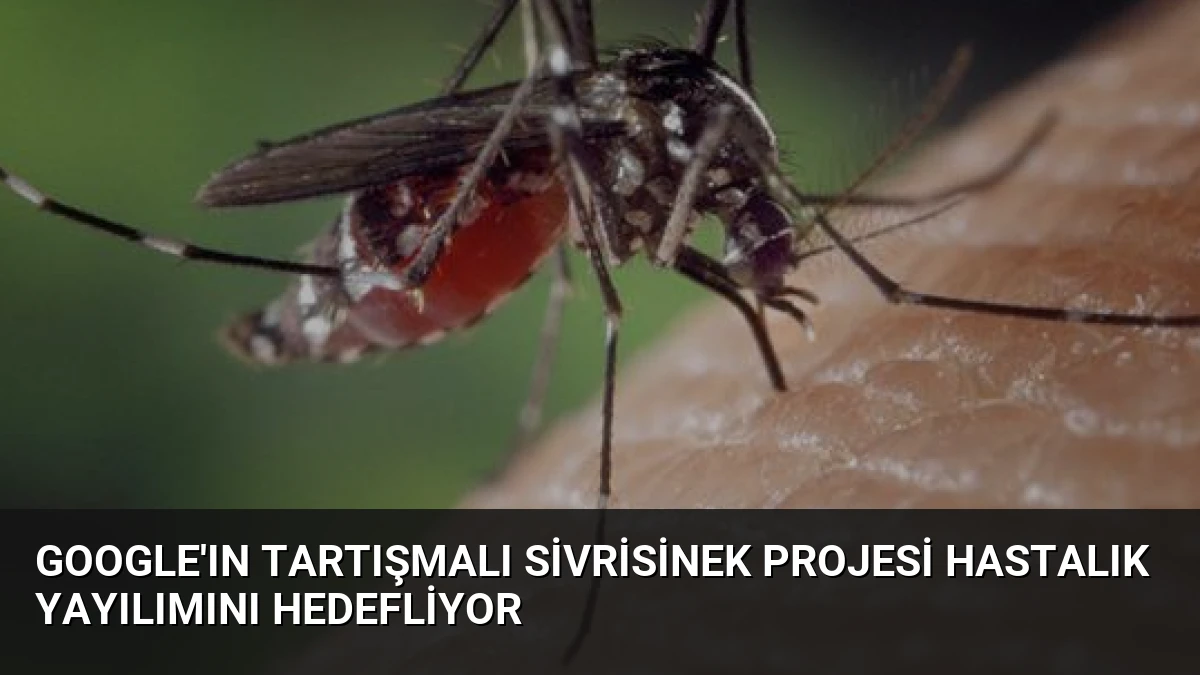 Google’ın Tartışmalı Sivrisinek Projesi Hastalık Yayılımını Hedefliyor