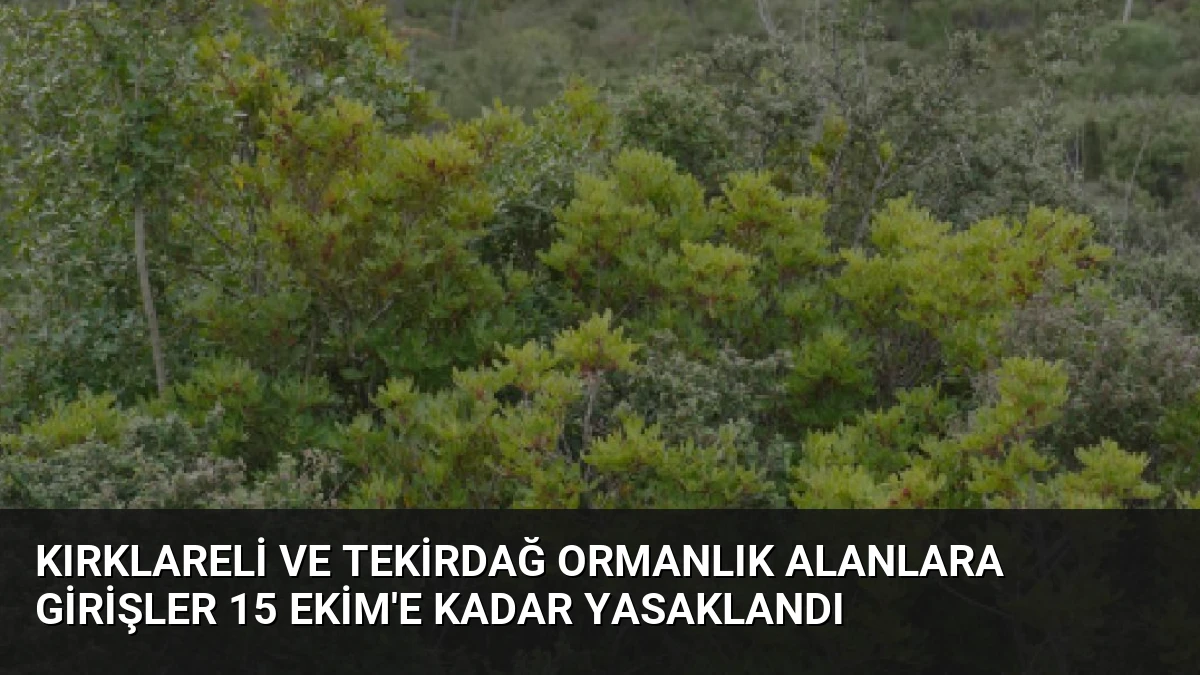 Kırklareli ve Tekirdağ Ormanlık Alanlara Girişler 15 Ekim’e Kadar Yasaklandı