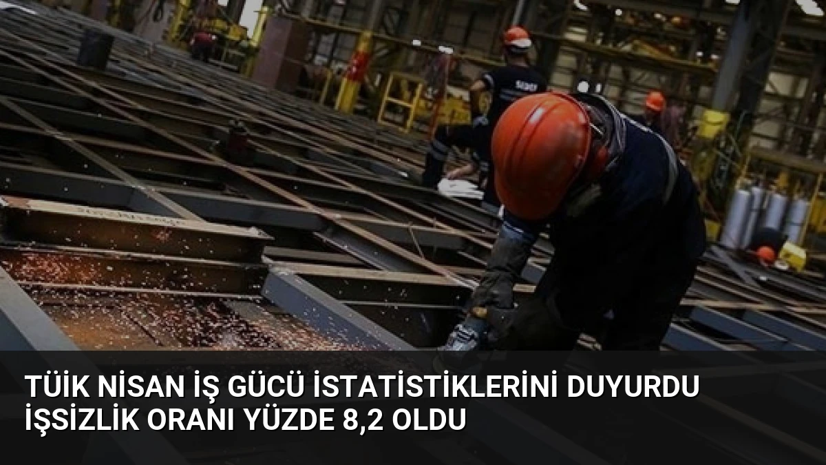 TÜİK Nisan İş Gücü İstatistiklerini Duyurdu İşsizlik Oranı Yüzde 8,2 Oldu