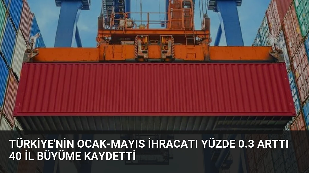 Türkiye’nin Ocak-Mayıs İhracatı Yüzde 0.3 Arttı 40 İl Büyüme Kaydetti