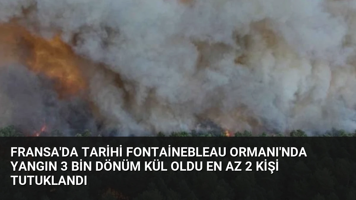 Fransa’da Tarihi Fontainebleau Ormanı’nda Yangın 3 Bin Dönüm Kül Oldu En Az 2 Kişi Tutuklandı