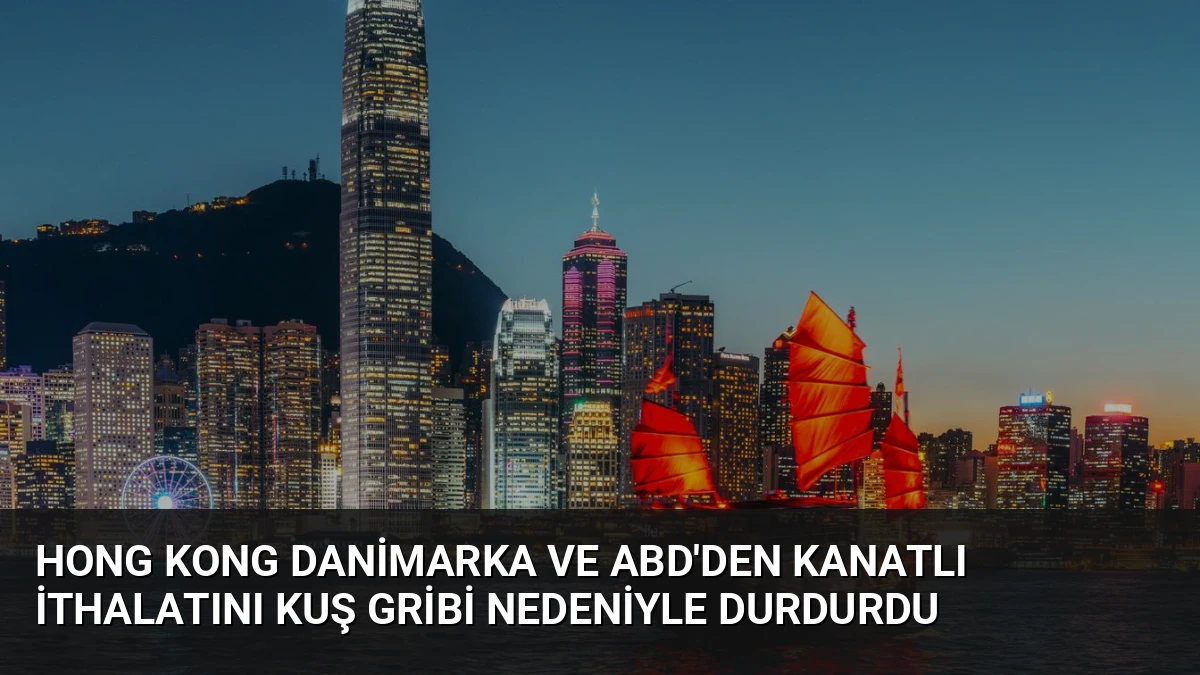 Hong Kong Danimarka ve ABD’den Kanatlı İthalatını Kuş Gribi Nedeniyle Durdurdu