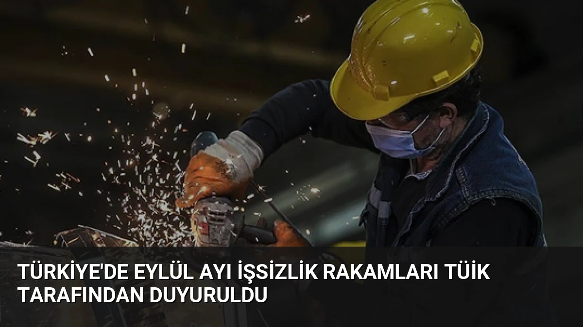 Türkiye’de Eylül Ayı İşsizlik Rakamları TÜİK Tarafından Duyuruldu